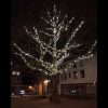 kerstboom-met-verlichting kerstboom met verlichting