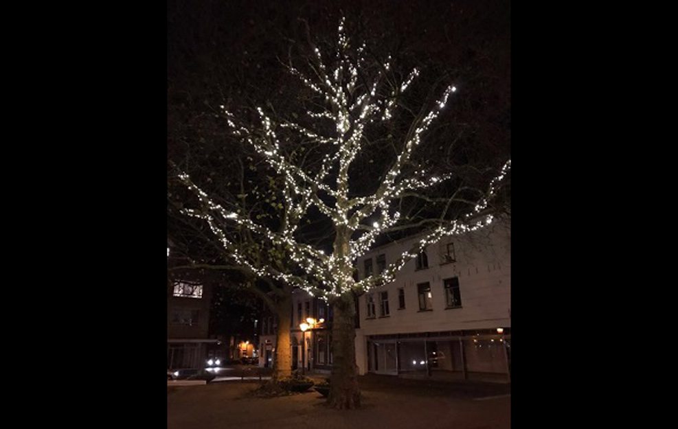 50 meter - kerstverlichting extra warm wit (amber) 500 LEDs - PRO IP67 Waterdicht