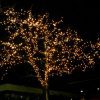 kerstboomverlichting kerstboomverlichting