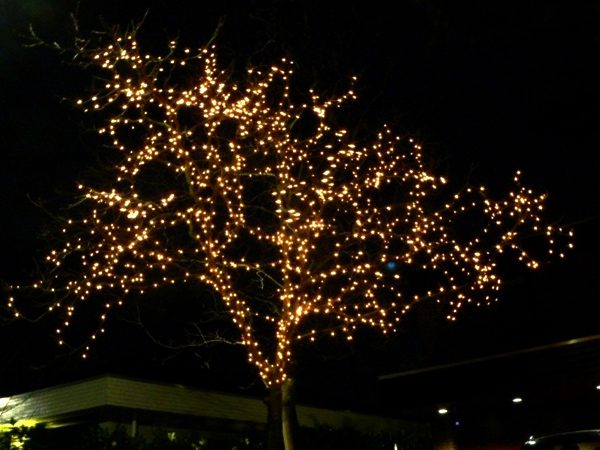 50 meter - kerstverlichting extra warm wit (amber) 500 LEDs - PRO IP67 Waterdicht