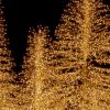 kerstverlichting