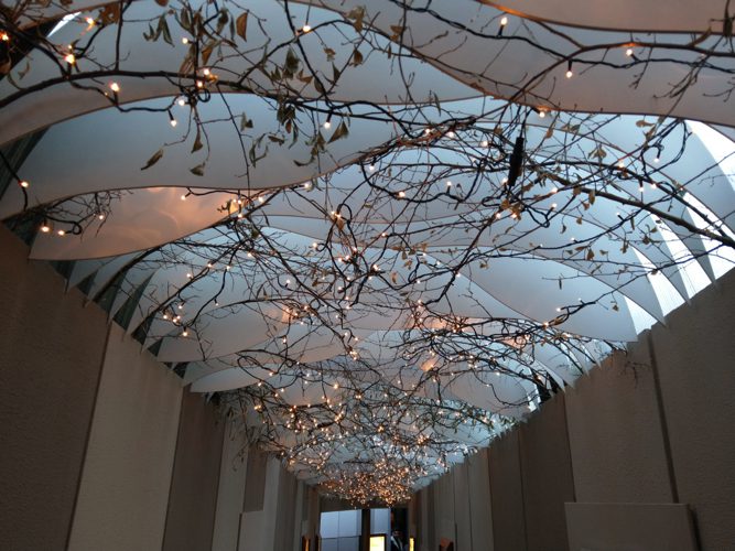 50 meter - kerstverlichting extra warm wit (amber) 500 LEDs - PRO IP67 Waterdicht
