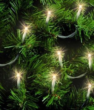 Kerstverlichting op batterij - 24 LED warm wit 3,5 meter 2 warm wit