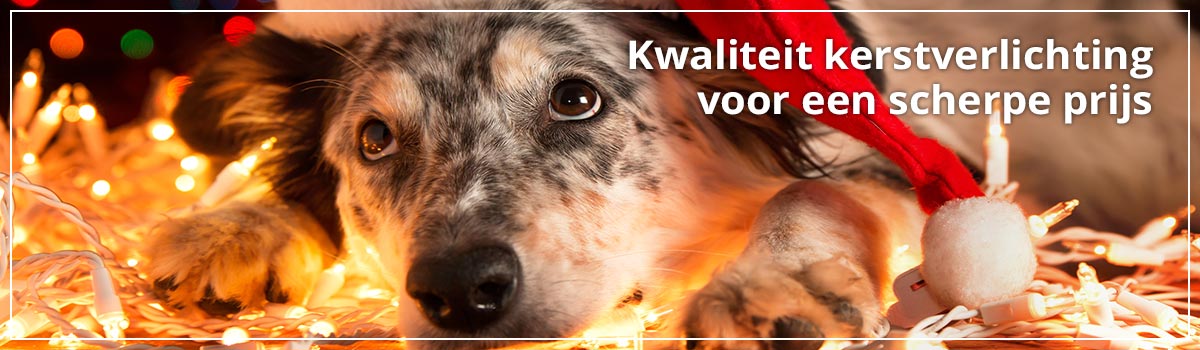 homepage grote