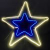 KERSTVERLICHTING ster witblauw 1