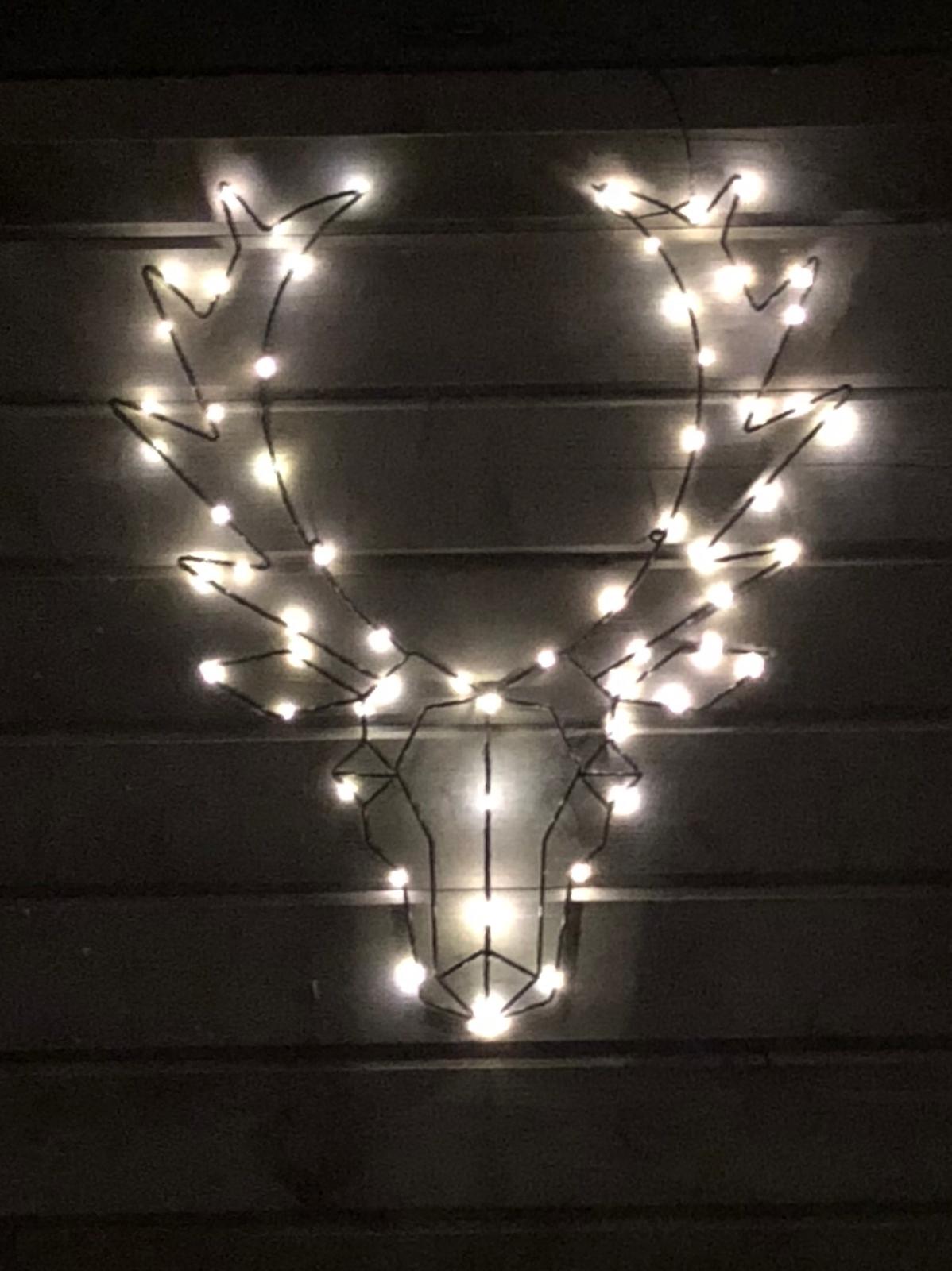 Rendier kop kerstverlichting wit 70CM - op batterij