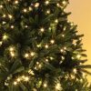 christmastrees christmastrees