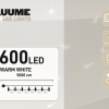 KerstXL 600 led warm wit 04 KerstXL 600 led warm wit 04