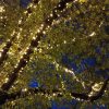 boomverlichting led