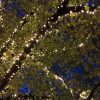 led boomverlichten
