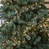 Clusterverlichting-kerstboom-warm-wit Clusterverlichting kerstboom warm wit
