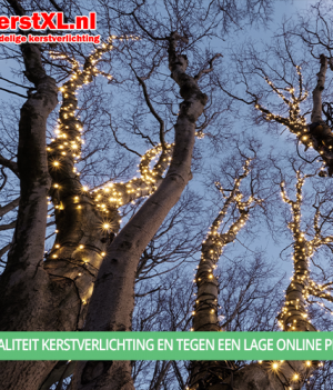 Koppelbare boomverlichting 1100 LED warm wit 110 meter - PRO 6 Mooie verlichte bomen