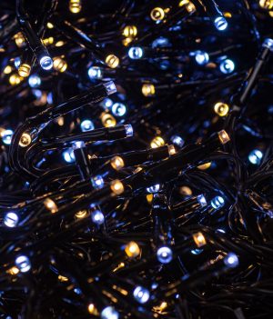 14,5 meter Clusterverlichting 2016 LED - Schakel tussen Wit en Warm wit 3 PHOTO 2020 10 29 12 37 31
