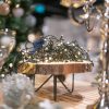 langdurige kerstverlichting batterij