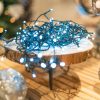 320- witte lampjes-kerst 320 witte lampjes kerst