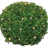 Buksus-verlichtig-netverlichting-warm-wit-100-led Buksus verlichtig netverlichting warm wit 100 led