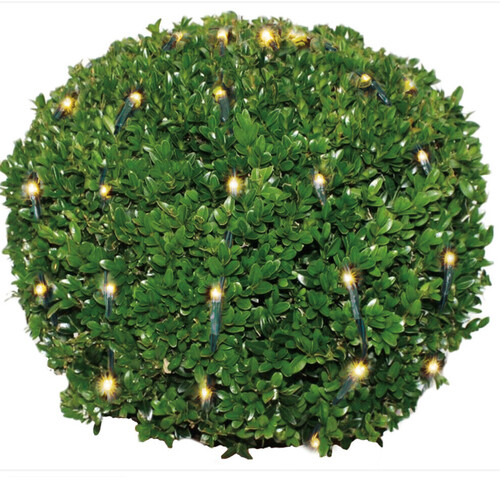 Buxus kerstverlichting 100 led warm wit Netverlichting - buxusverlichting