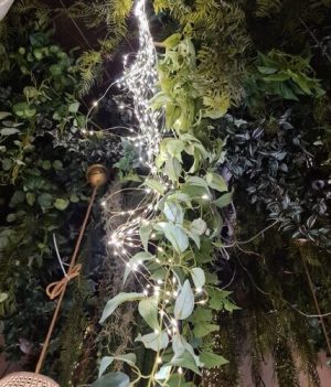 Kerstverlichting zilverdraad LED flash warm wit 3 meter 300 LED 1 IMG 9403 kopie