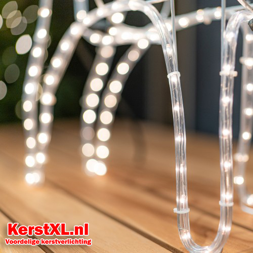 Rendier met arrenslee kerstverlichting - L - 504 led